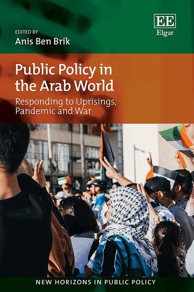 Anis B. Brik - Public Policy in the Arab World, Inbunden