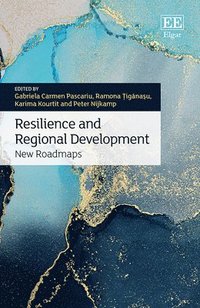 bokomslag Resilience and Regional Development