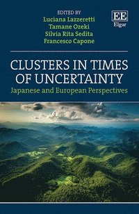 bokomslag Clusters in Times of Uncertainty