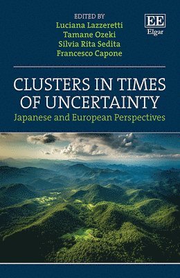Clusters in Times of Uncertainty 1