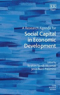 bokomslag Research Agenda for Social Capital in Economic Development