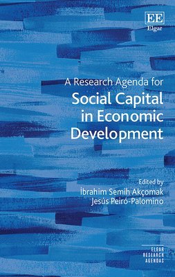 bokomslag Research Agenda for Social Capital in Economic Development