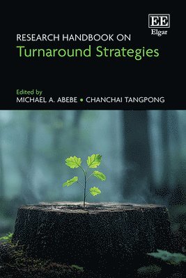 bokomslag Research Handbook on Turnaround Strategies