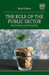 bokomslag The Role of the Public Sector