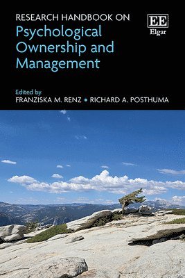 bokomslag Research Handbook on Psychological Ownership and Management