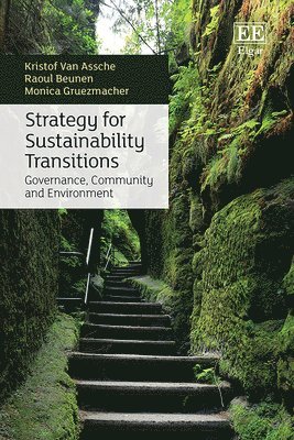 bokomslag Strategy for Sustainability Transitions
