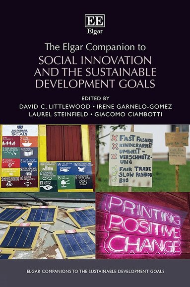 David C. Littlewood, Irene Garnelo-Gomez, Laurel Steinfield, Giacomo Ciambotti - Elgar Companion to Social Innovation and the Sustainable Development Goals, Inbunden