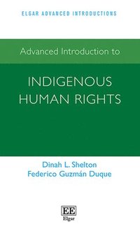 bokomslag Advanced Introduction to Indigenous Human Rights