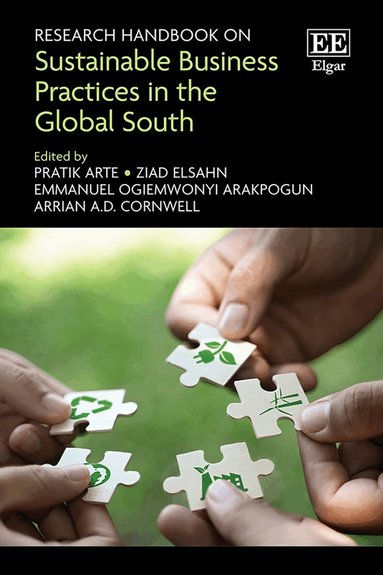 Pratik Arte, Ziad Elsahn, Emmanuel O. Arakpogun, Arrian A. D. Cornwell - Research Handbook on Sustainable Business Practices in the Global South, Inbunden