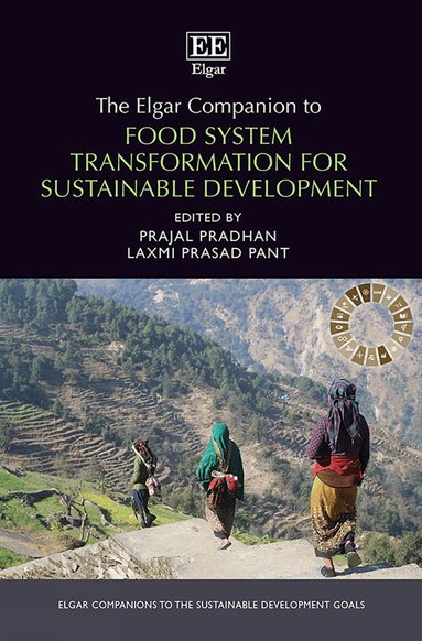 Prajal Pradhan, Laxmi Prasad Pant - Elgar Companion to Food System Transformation for Sustainable Development, Inbunden