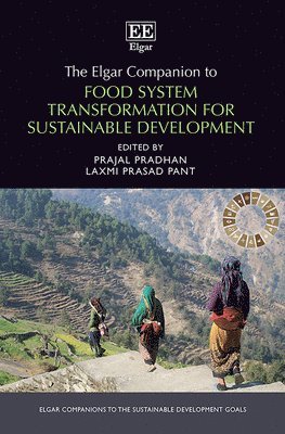 Elgar Companion to Food System Transformation for Sustainable Development