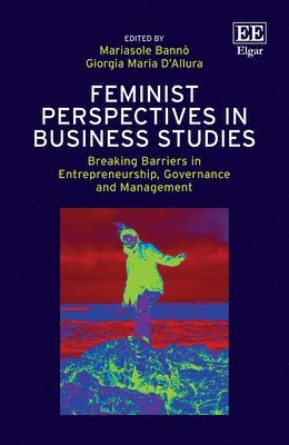 bokomslag Feminist Perspectives in Business Studies