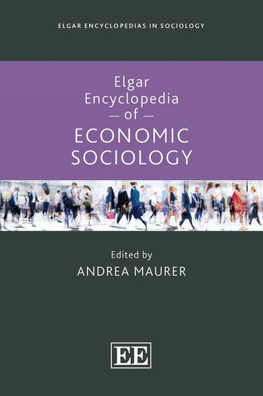 Andrea Maurer - Elgar Encyclopedia of Economic Sociology, Inbunden