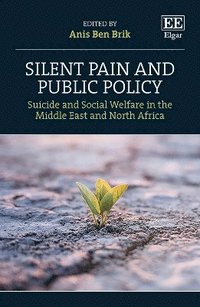 bokomslag Silent Pain and Public Policy