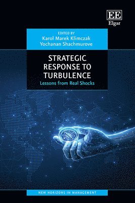 bokomslag Strategic Response to Turbulence