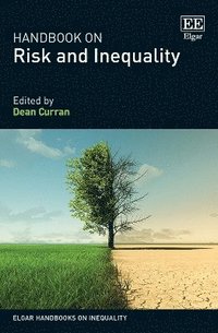 bokomslag Handbook on Risk and Inequality