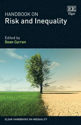 bokomslag Handbook on Risk and Inequality