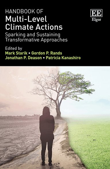 Mark Starik, Gordon P. Rands, Jonathan P. Deason, Patricia Kanashiro - Handbook of Multi-Level Climate Actions, Häftad