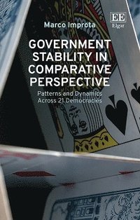 bokomslag Government Stability in Comparative Perspective