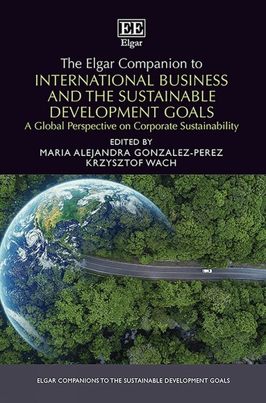 Maria A. Gonzalez-Perez, Krzysztof Wach - Elgar Companion to International Business and the Sustainable Development Goals, Inbunden