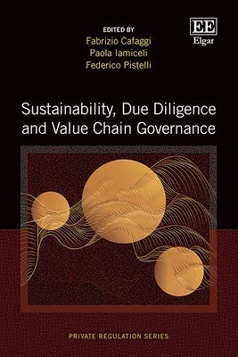 Sustainability, Due Diligence and Value Chain Governance