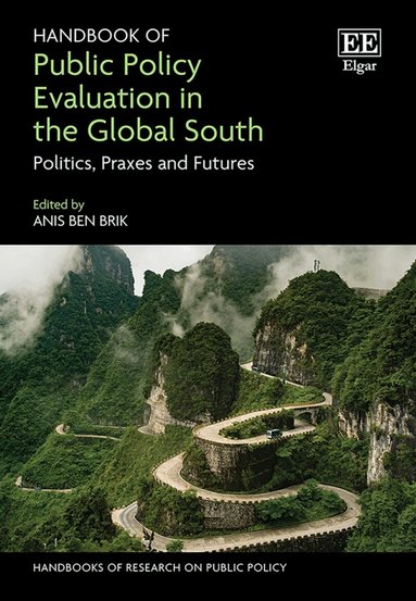 Anis Ben Brik - Handbook of Public Policy Evaluation in the Global South, Inbunden