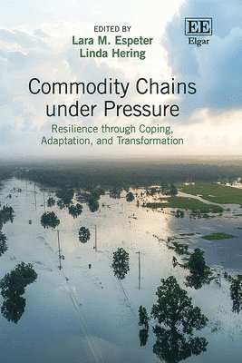 bokomslag Commodity Chains under Pressure