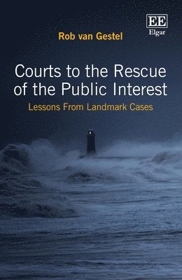 bokomslag Courts to the Rescue of the Public Interest