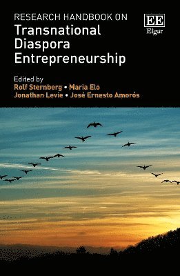 bokomslag Research Handbook on Transnational Diaspora Entrepreneurship