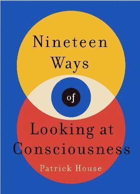 Nineteen Ways of Looking at Consciousness 1