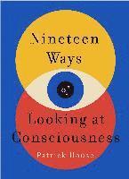 bokomslag Nineteen Ways Of Looking At Consciousness