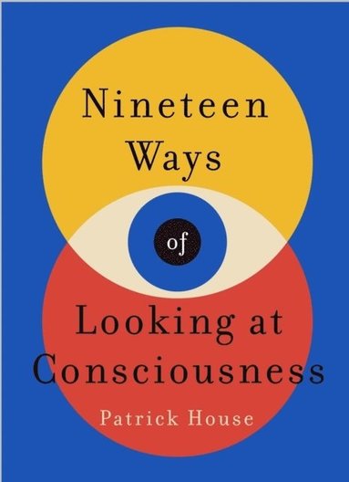 bokomslag Nineteen Ways of Looking at Consciousness