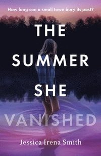bokomslag The Summer She Vanished