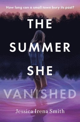 bokomslag Summer She Vanished