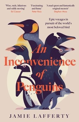 bokomslag An Inconvenience of Penguins: Epic voyages in pursuit of the world's most beloved bird