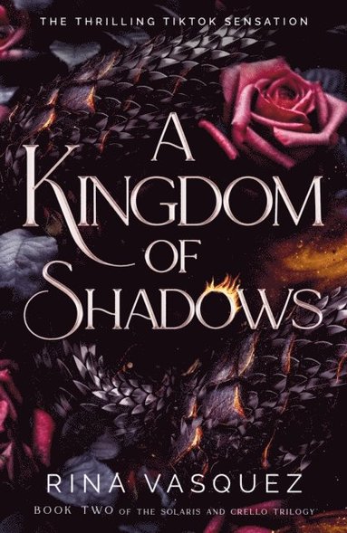 bokomslag A Kingdom of Shadows