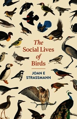 Social Lives of Birds