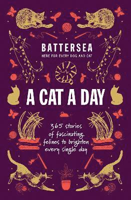 Battersea Dogs and Cats Home - A Cat a Day