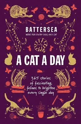 Battersea Dogs and Cats Home - A Cat a Day 1