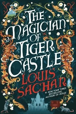 bokomslag The Magician of Tiger Castle
