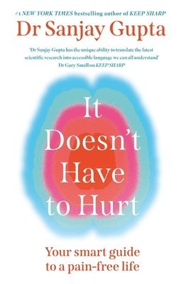 Sanjay Gupta - It Doesn't Have to Hurt, Häftad