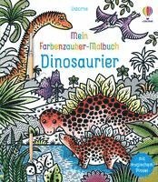 bokomslag Mein Farbenzauber-Malbuch: Dinosaurier.