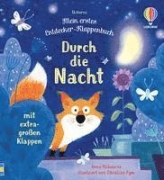 bokomslag Mein erstes Entdecker-Klappenbuch: Durch die Nacht