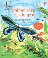 bokomslag Krabbeltiere - richtig groß