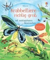Krabbeltiere - richtig groß, Inbunden