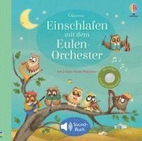 bokomslag Einschlafen mit dem Eulen-Orchester