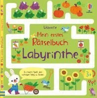 bokomslag Mein erstes Rätselbuch: Labyrinthe