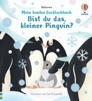 bokomslag Mein buntes Gucklochbuch: Bist du das, kleiner Pinguin?