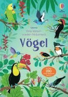 bokomslag Mein Immer-wieder-Stickerbuch: Vögel