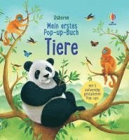 Anna Milbourne - Mein erstes Pop-up-Buch: Tiere, Kartonnage